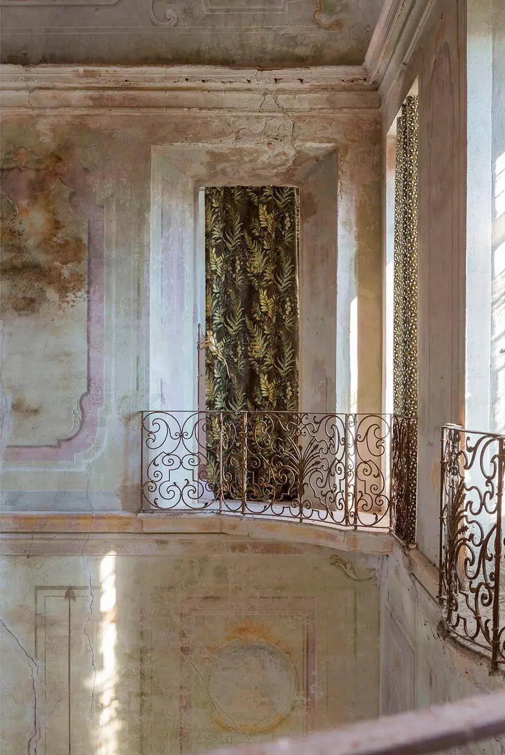 Carlucci Mystic Forest