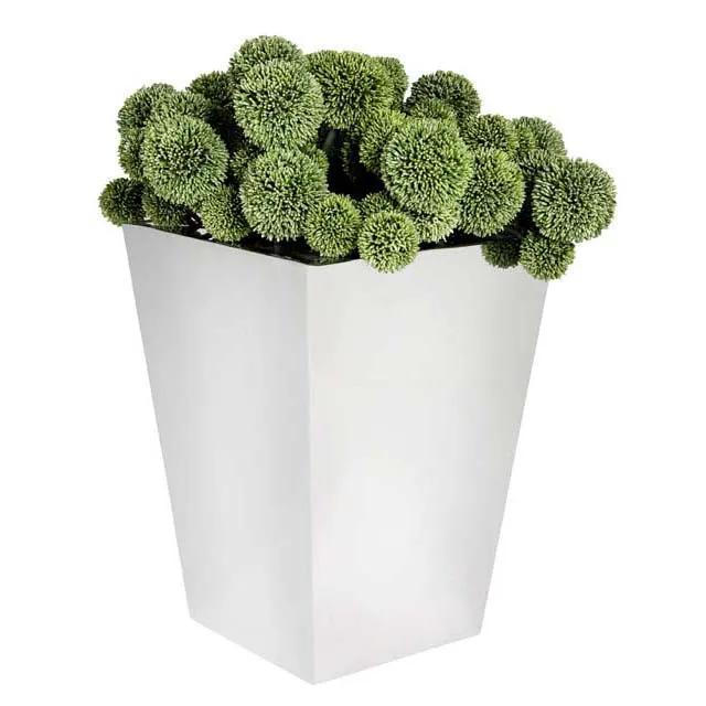 Planter Hanbera