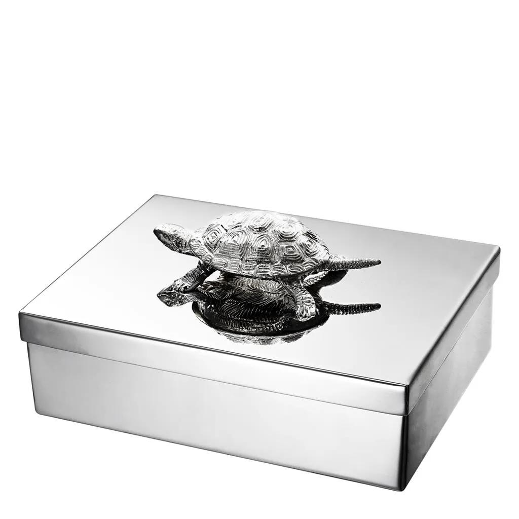 Jewel Box Tortoise