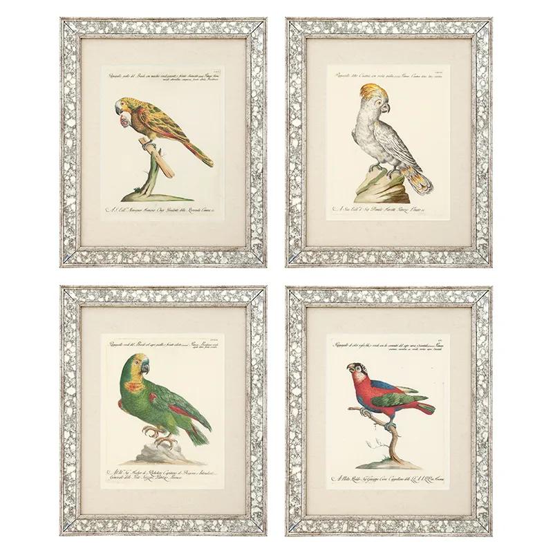 Prints Dunbar II set of 4
