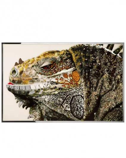 Iguana