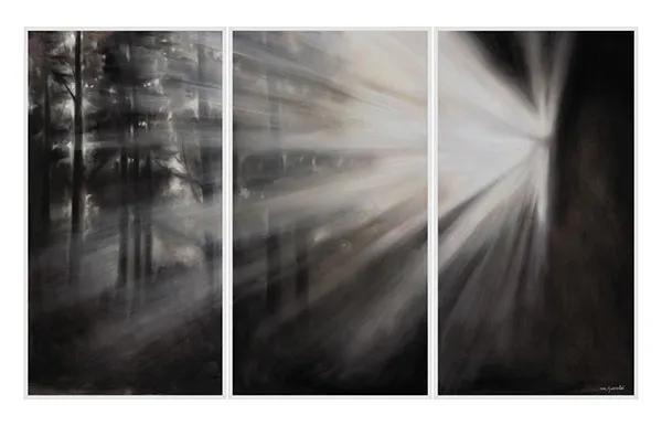 Foresta con riflessi