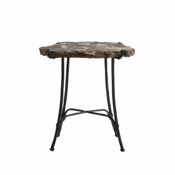 Petrified Wood Slab Side Table 