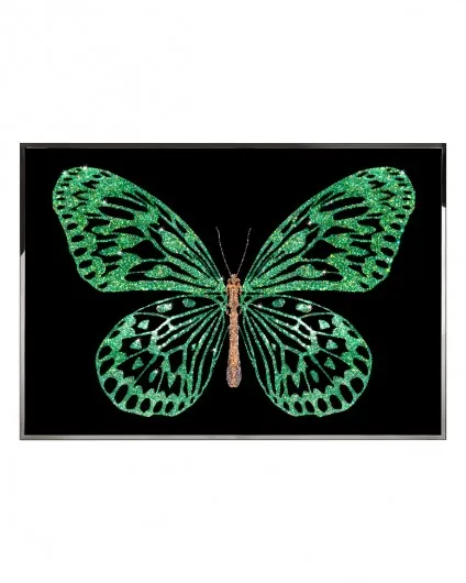 Green Butterfly