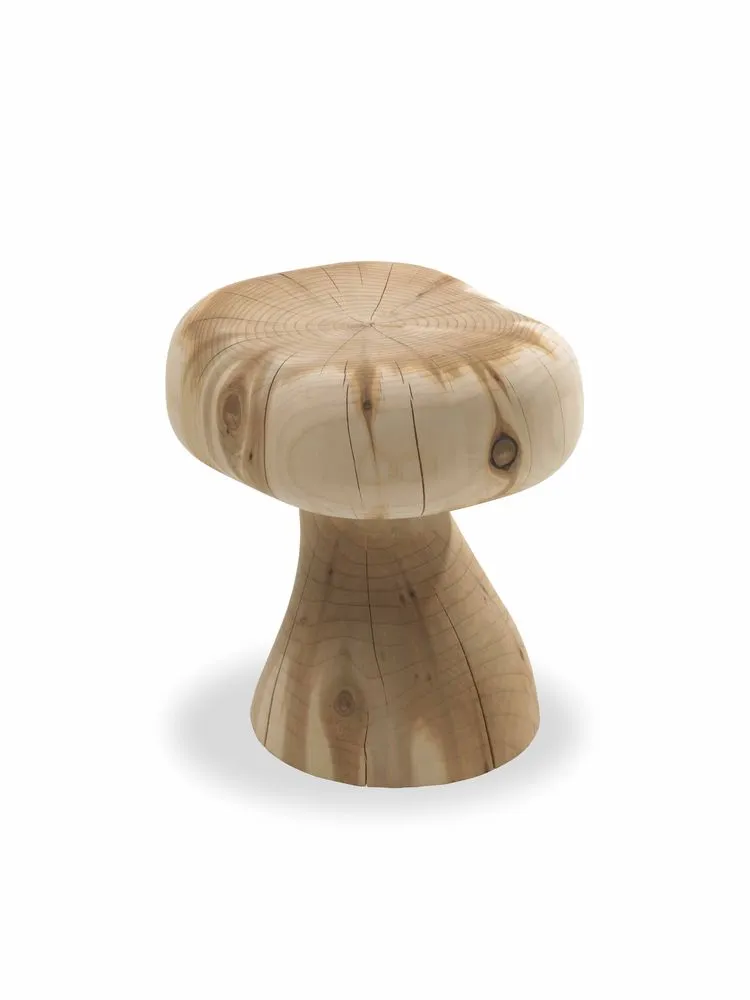 SIEBENAdriana Buganza