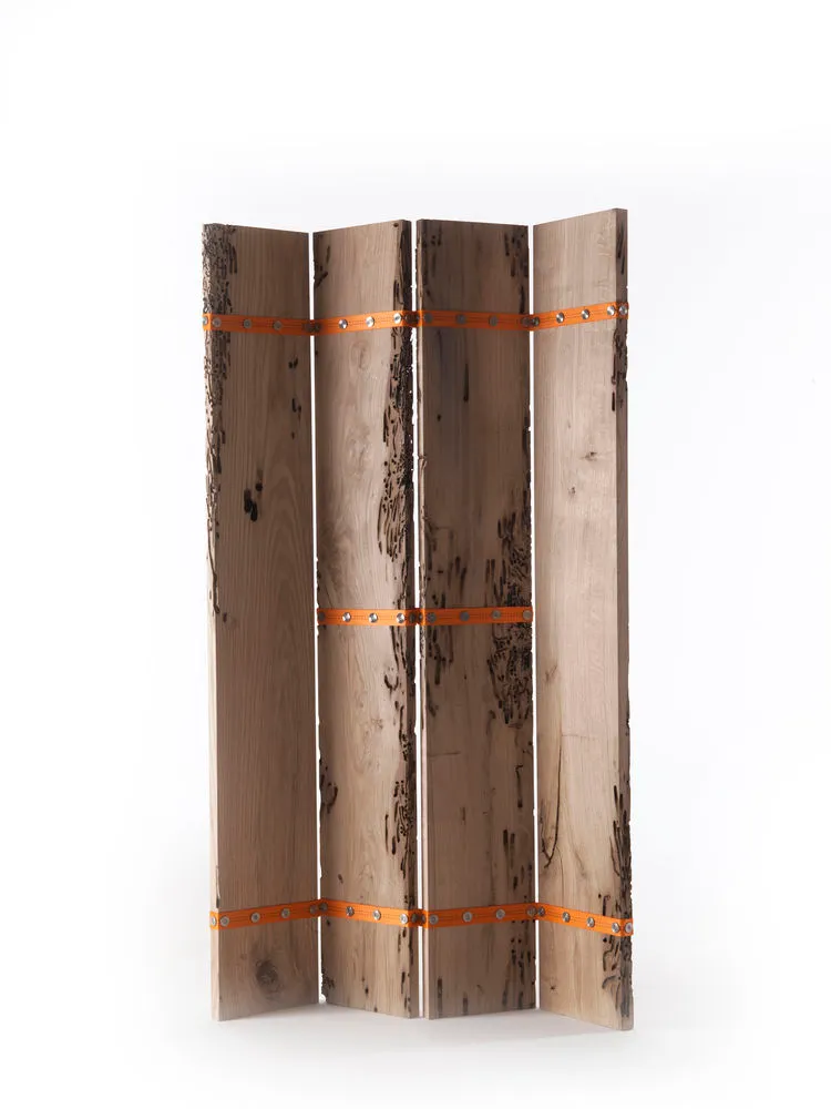 Paravento - Not for saleAntonio Citterio