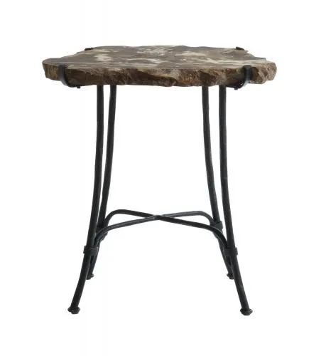 Petrified Wood Slab Side Table