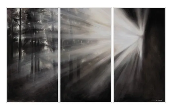 Foresta con riflessi